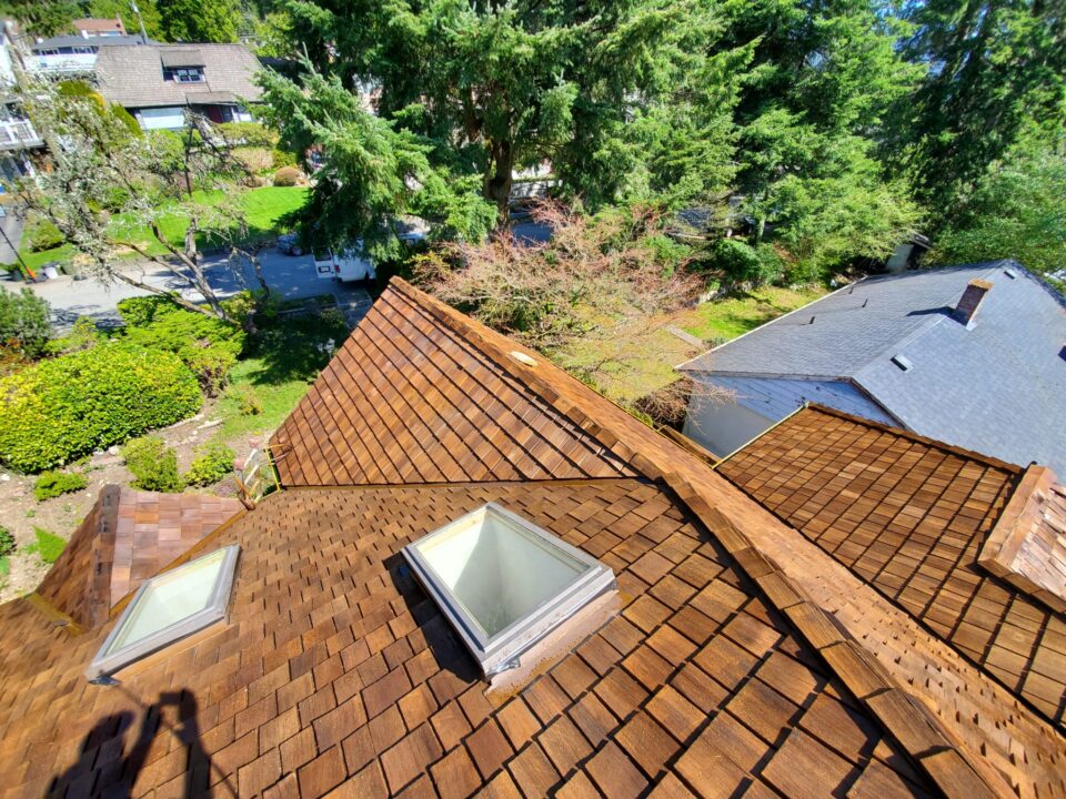 Maintain Your Roof to Prevent Moss