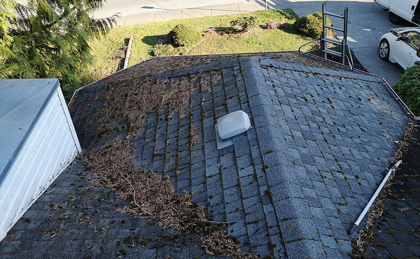 roof cleaning service